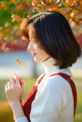 鸳鸯蝴蝶电视剧免费观看